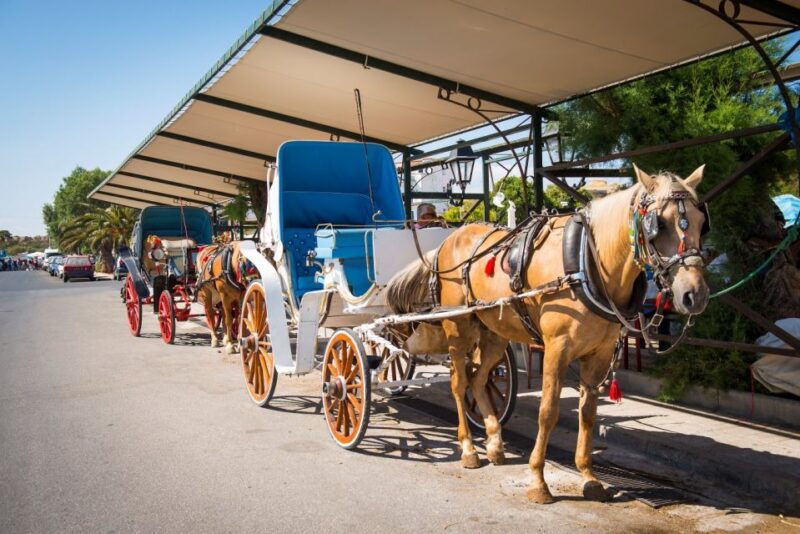 from-athens-hydra-poros-and-aegina-day-cruise-with-lunch-3
