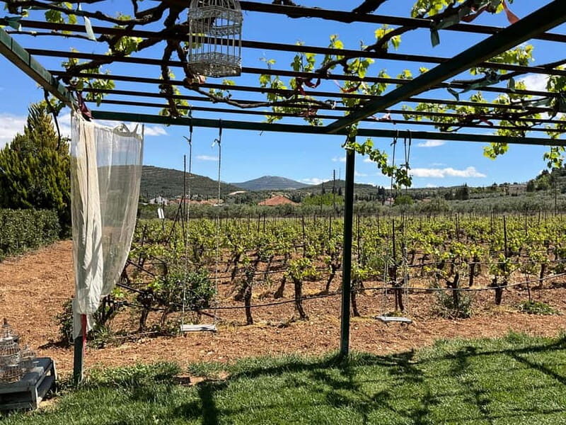From Athens: Nemea Wine Tour with Corinth Canal Stop - Key Points