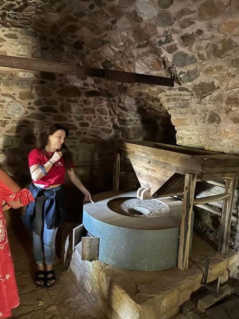 From Athens: Nemea Wine Tour with Corinth Canal Stop - Practical Details and Logistics