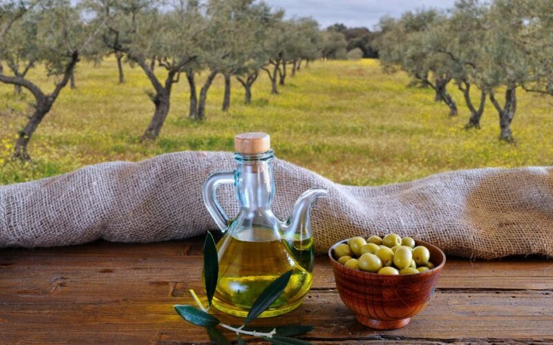 From Athens: Olive Oil Production & Wine Private Day Trip - An In-Depth Look at the Olive Oil & Wine Day Trip