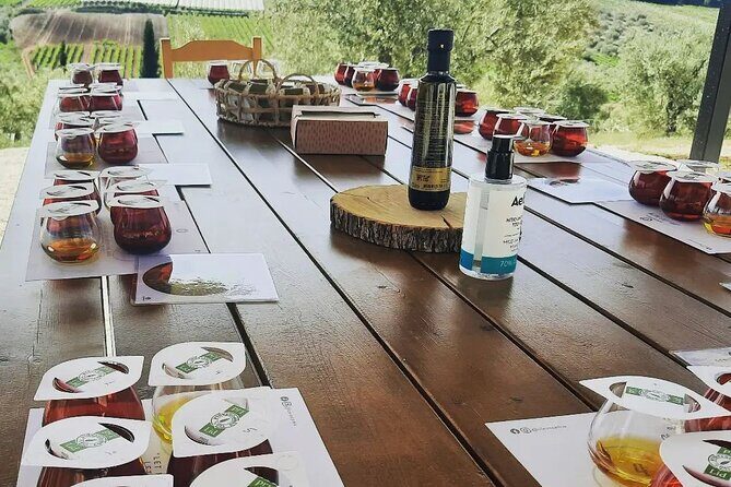 From Athens: Olive Oil Tasting, Olive Grove & Wine Experience - Final Thoughts