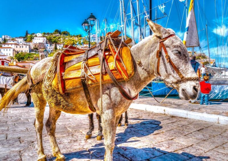 From Athens: Saronic Islands Full-Day Cruise with VIP Seats - Value for Money