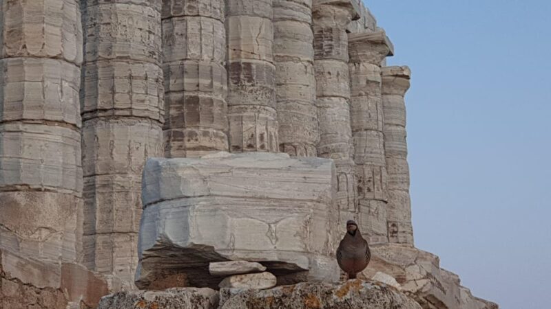 From Athens: Temple of Poseidon Private Couples Trip - Key Points