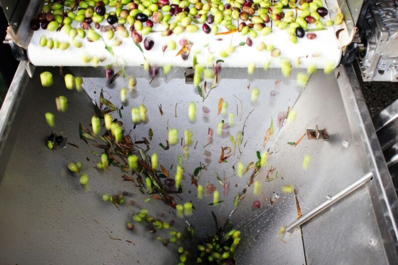 From Athens: Wine, Oil, & Cheese Tasting in Nemea & Argolis - FAQs  