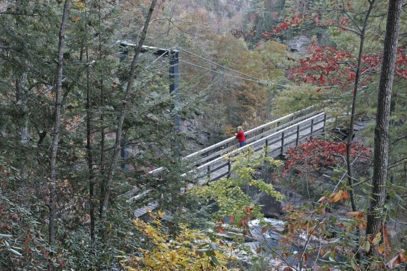 From Atlanta: Tullulah Falls Slingshot Self Guided Tour - Authentic Insights from Reviewers