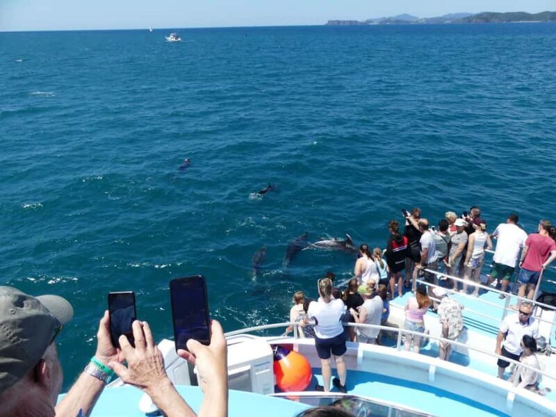 From Auckland: 6-Day Northland Tour with German Guide - Why Choose This Tour?