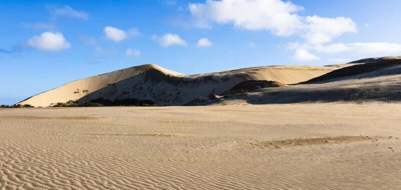 From Auckland: 6-Day Northland Tour with German Guide - FAQ