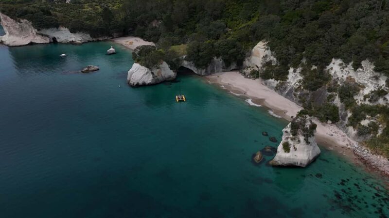 From Auckland: ALDERMAN ISLANDS (Ruamaahu) Day Trip - An Overview of the Tour Itinerary