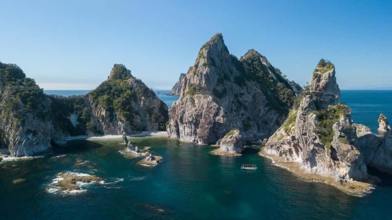 From Auckland: ALDERMAN ISLANDS (Ruamaahu) Day Trip - How This Experience Adds Value