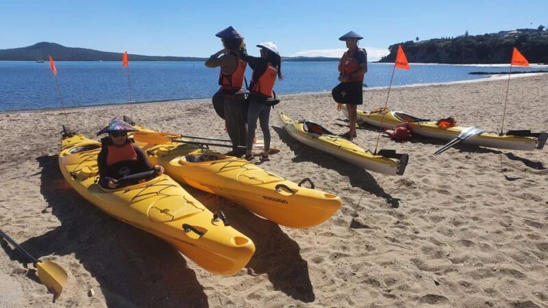 From Auckland: Browns Island Motukorea Sea Kayak Tour - The Sum Up
