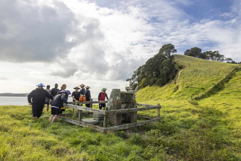 From Auckland: Browns Island Motukorea Sea Kayak Tour - FAQ
