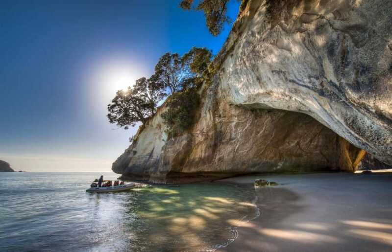 From Auckland: Cathedral Cove & Hot Water Beach Tour - Authentic Traveler Feedback