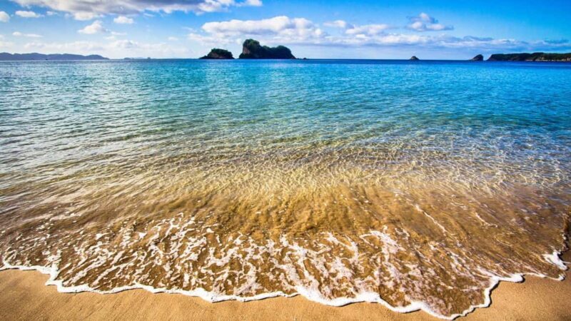 From Auckland: Cathedral Cove & Hot Water Beach Tour - The Sum Up: Who Will Love This Tour?