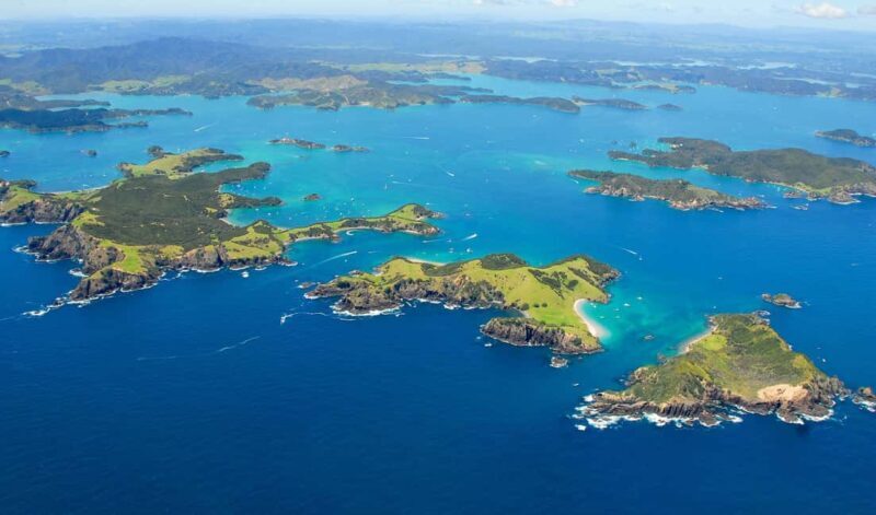 From Auckland: Full Day Private Tour to the Bay of Islands - Key Points