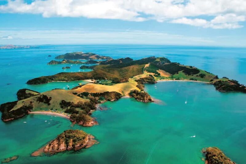 From Auckland: Full Day Private Tour to the Bay of Islands - What’s Included & Why It Matters