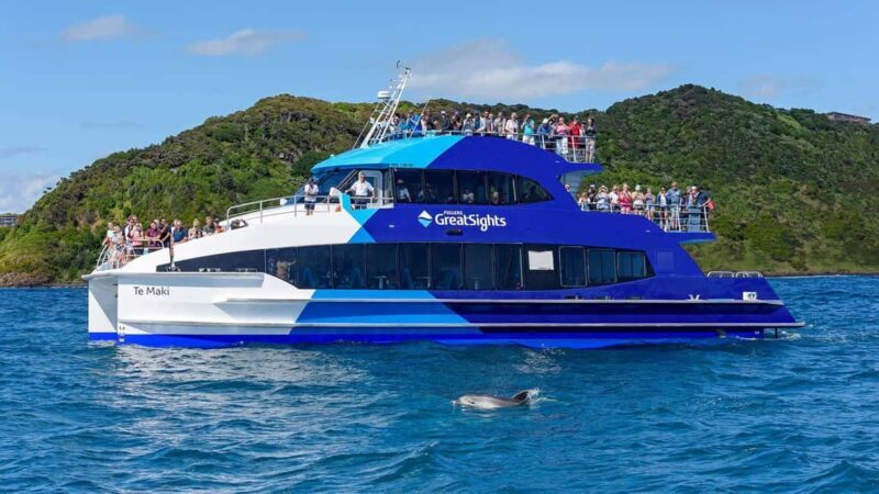 From Auckland: Full Day Private Tour to the Bay of Islands - Authentic Experiences and Personal Touches