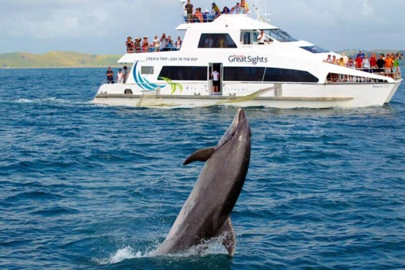 From Auckland: Full Day Private Tour to the Bay of Islands - The Sum Up: Why This Tour Is a Solid Choice