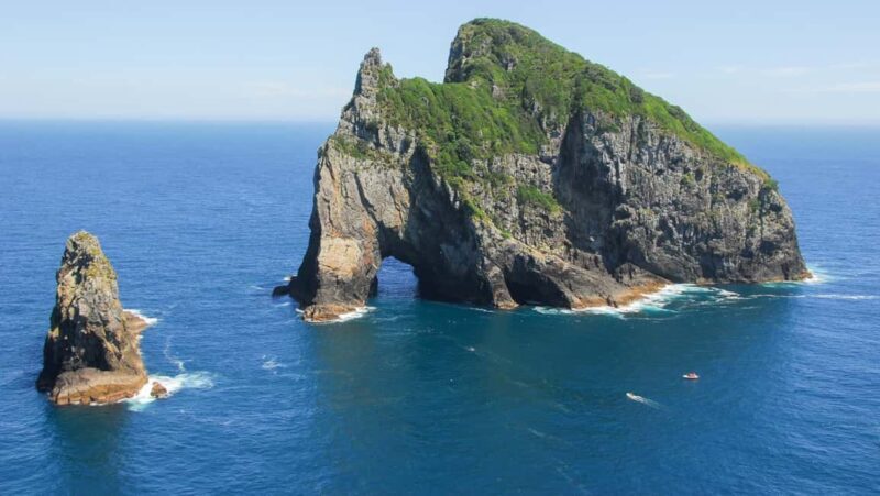 From Auckland: Full Day Private Tour to the Bay of Islands - FAQ
