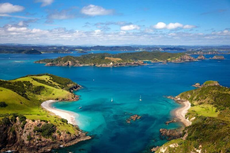 From Auckland: Full-Day Tour to the Bay of Islands - What’s Included and What to Budget for
