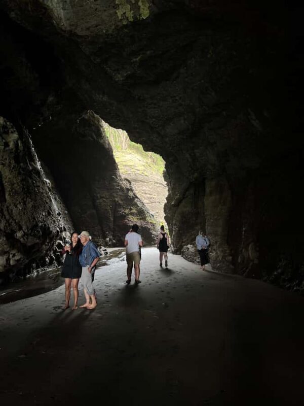 From Auckland: Guided Tour of Piha with Scenic Beach Walks - An In-Depth Look at the Piha Guided Tour Experience
