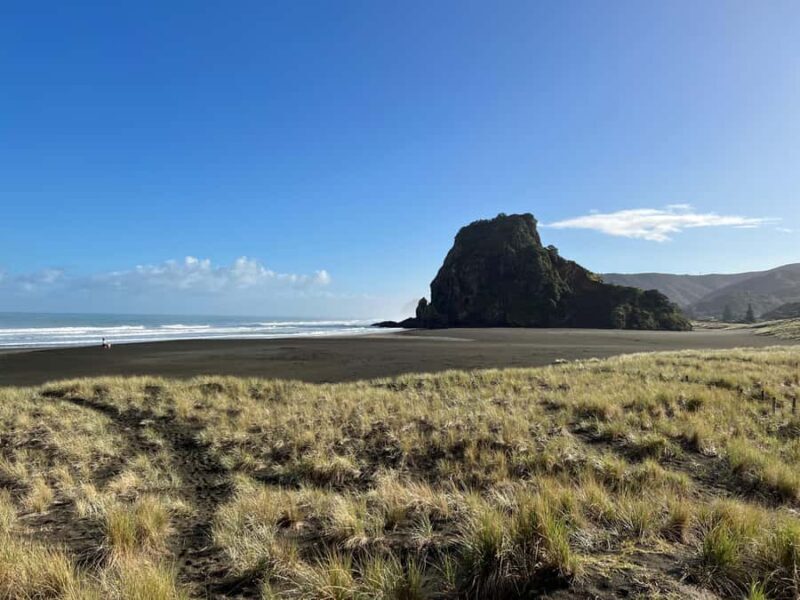 From Auckland: Guided Tour of Piha with Scenic Beach Walks - Who Is This Tour Best Suited For?