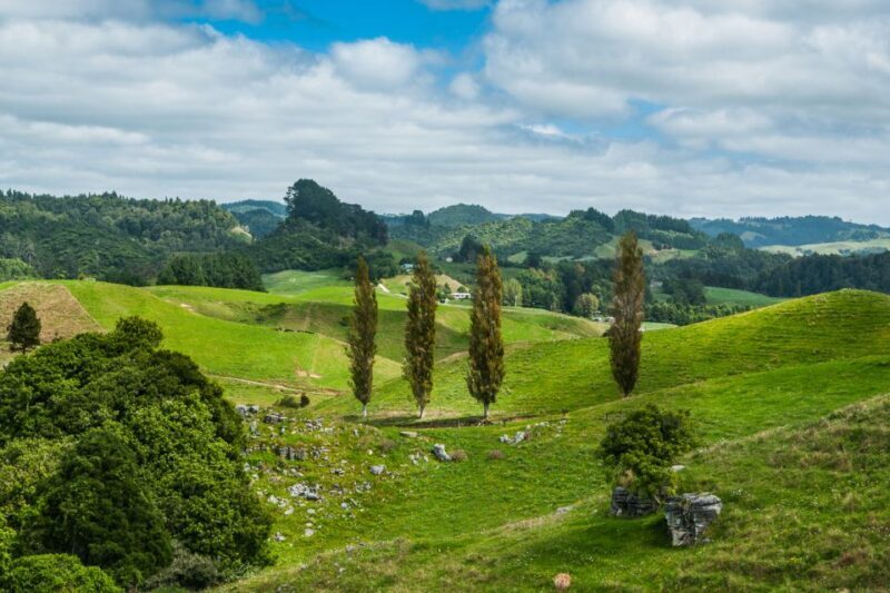 From Auckland: Hobbiton and Waitomo Day Tour with Lunch - Practical Details & What to Expect