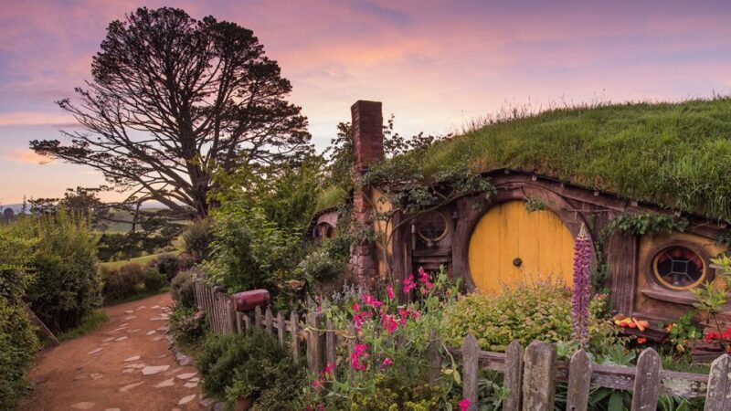 From Auckland: Hobbiton Movie Set Full-Day Trip - Authenticity and Practical Tips
