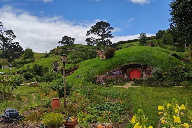 From Auckland- Hobbiton Movie Set & Te Puia Small Group Day Tour - Potential Drawbacks or Considerations
