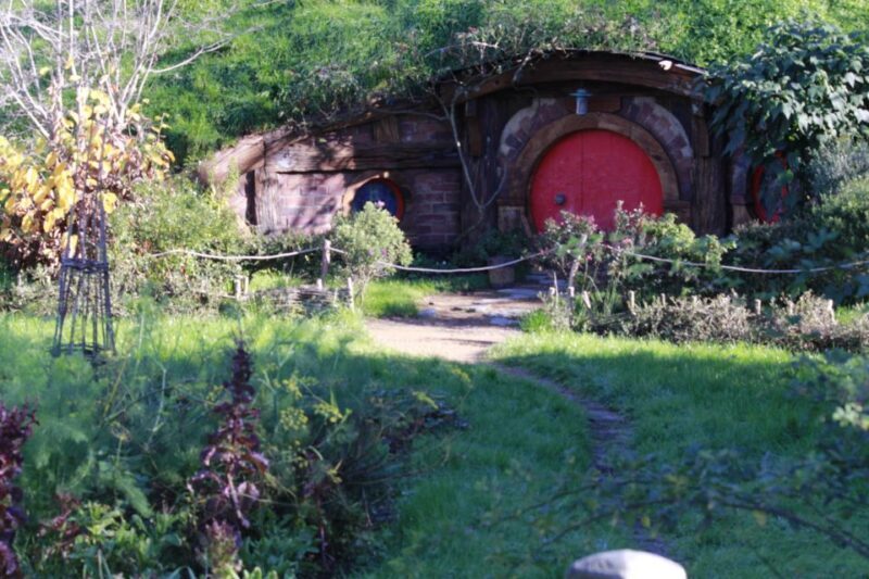 From Auckland: Hobbiton & Rotorua Tour with Lunch at Te Puia - Key Points