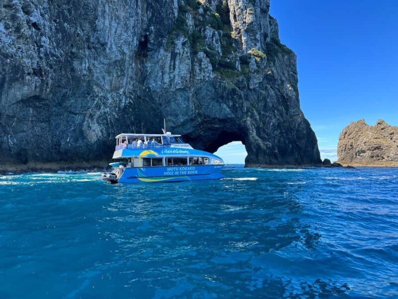 From Auckland: Hole in the rock cruise tour - Why this tour offers good value