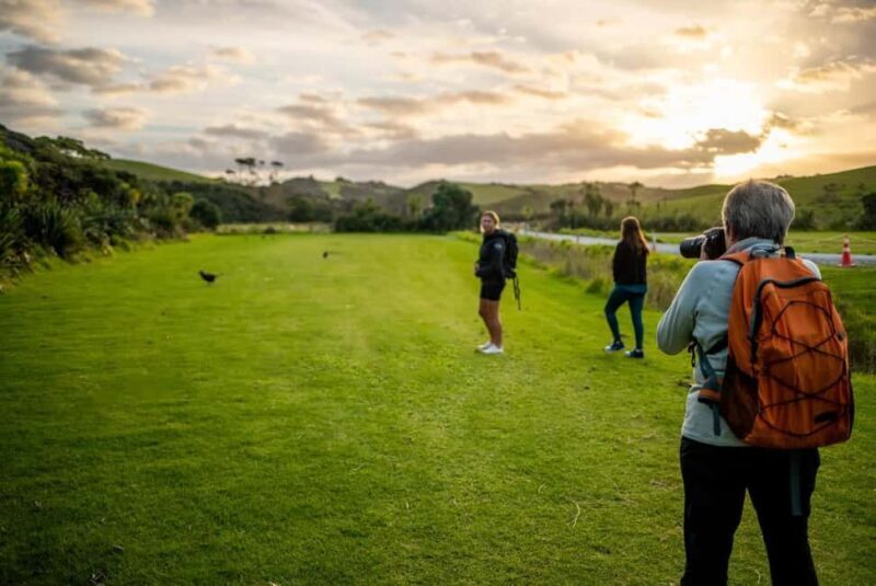 From Auckland: Kiwi Bird Encounter & 3-Course Dinner Tour - Key Points