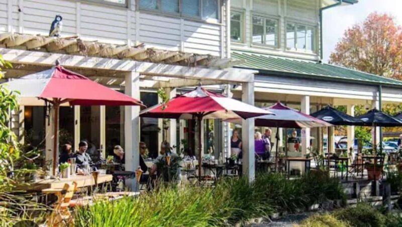 From Auckland: Kiwi Bird Encounter & 3-Course Dinner Tour - What Could Be Better?