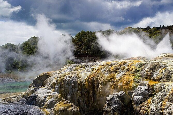 From Auckland: Rotorua Mori Village & Hot Springs with Haka - The Itinerary in Detail