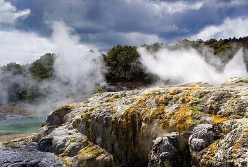 From Auckland: Rotorua Mori Village & Hot Springs with Haka - A Full Breakdown of the Rotorua Day Tour