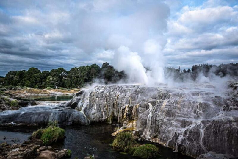 From Auckland: Rotorua Te Puia, Haka & Polynesian Spa Tour - Introduction