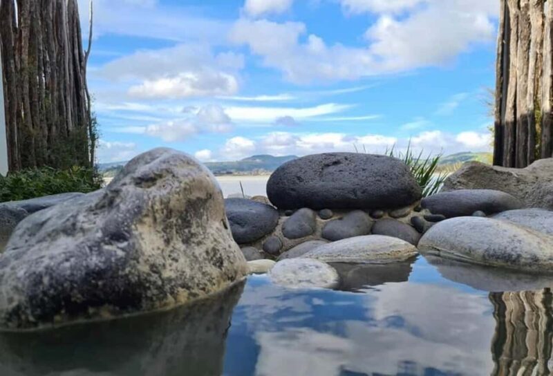 From Auckland: Rotorua Te Puia, Haka & Polynesian Spa Tour - The Sum Up