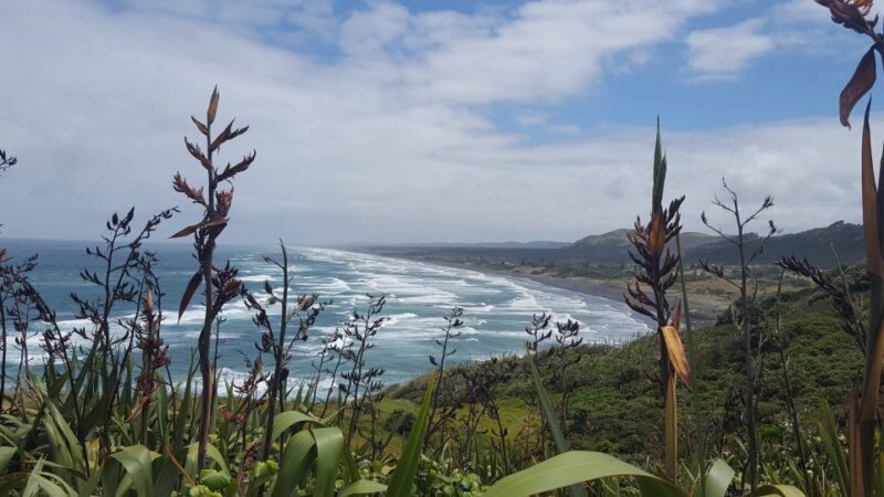 From Auckland: Small Group Kumeu Wine Tour with Lunch - Exploring the Kumeu Wine Region: A Closer Look