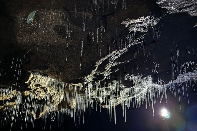 From Auckland : Spellbound Glow Worm Twin Caves Private Tour - The Scenic Drive and Otorohanga Break