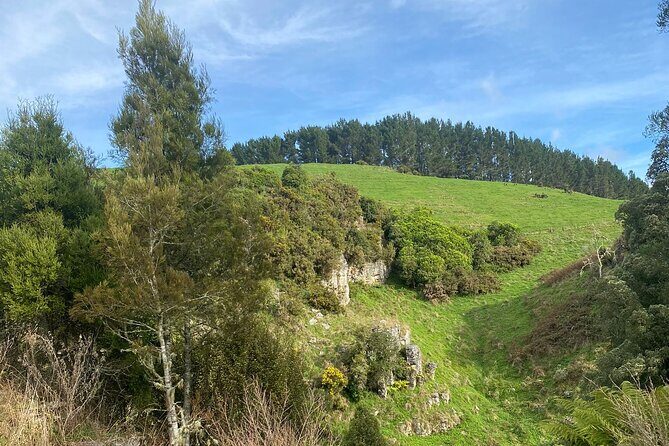 From Auckland : Spellbound Glow Worm Twin Caves Private Tour - Possible Drawbacks