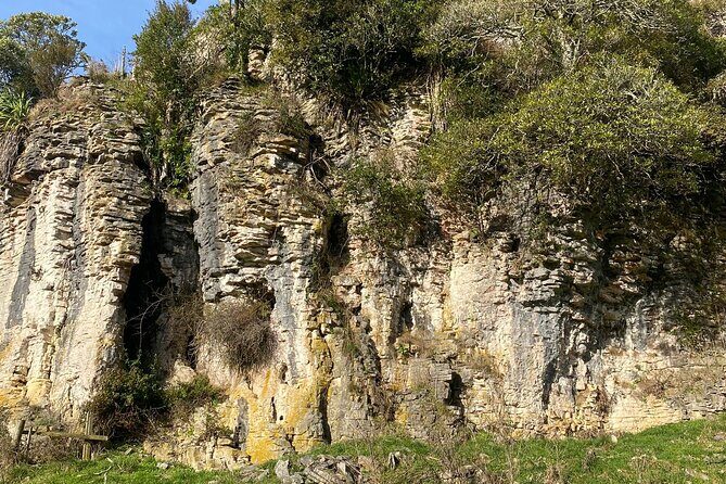 From Auckland : Spellbound Glow Worm Twin Caves Private Tour - Final Thoughts