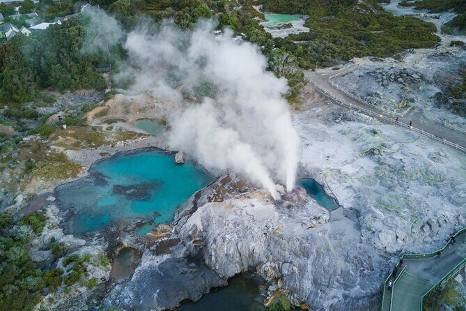 From Auckland : Te Puia & Wai Ariki Hot Springs Rotorua Day Tour - Final Thoughts: Who Will Love This Tour?
