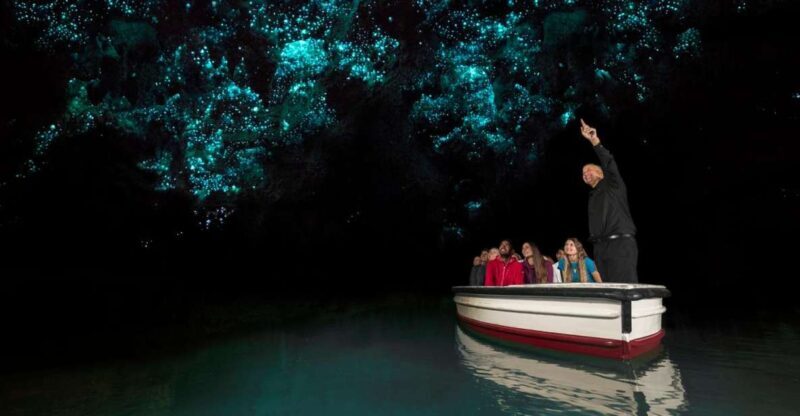 From Auckland: Two-Day Hobbiton, Rotorua, Waitomo Caves Tour - Key Points