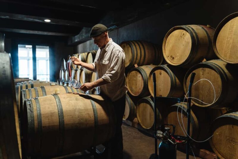 From Auckland: Waiheke Island Sip & Savour Tour with Lunch - What Makes This Tour Stand Out?