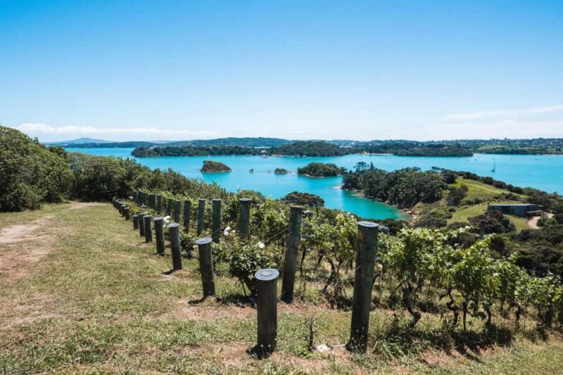 From Auckland: Waiheke Island Sip & Savour Tour with Lunch - FAQ