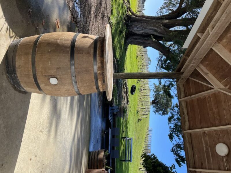 From Auckland: Waiheke Island Wine Cellar Tour - What makes this tour appealing?