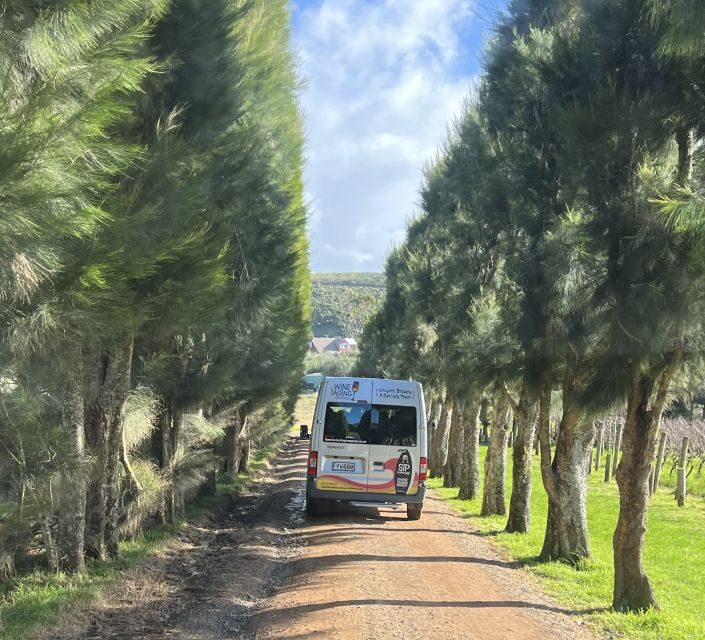 From Auckland: Waiheke Island Wine Cellar Tour - What to Expect During the Day