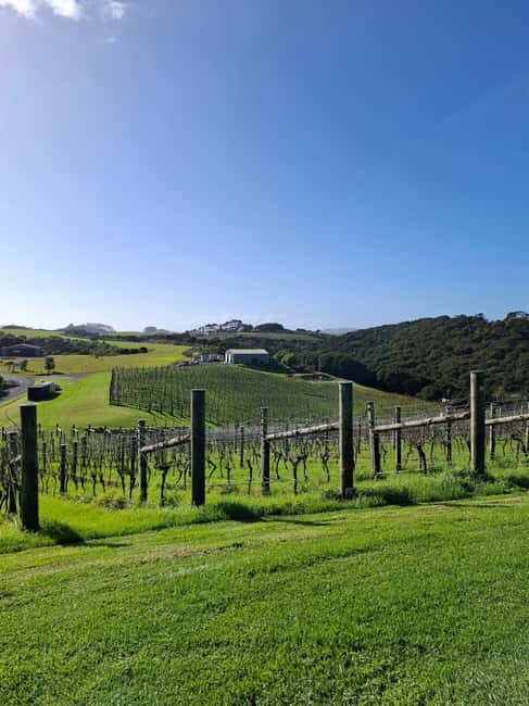 From Auckland: Waiheke Island Wine Cellar Tour - Who Would Love This Tour?