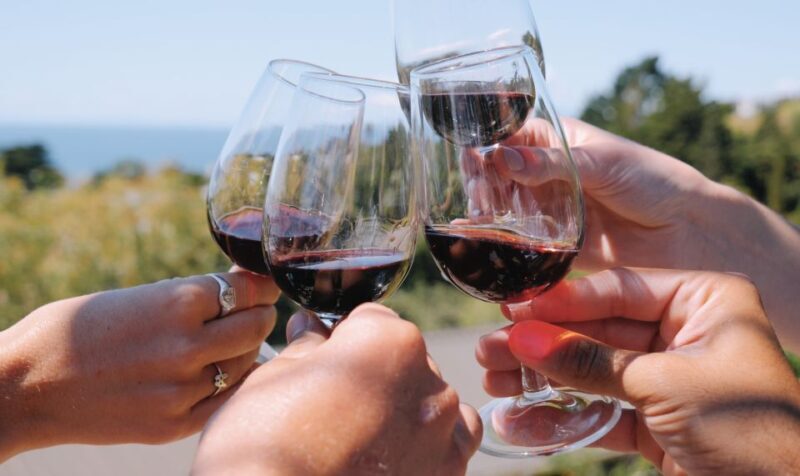 From Auckland: Waiheke Island Wine Cellar Tour - Final thoughts