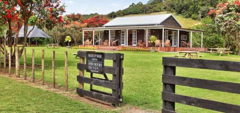 From Auckland: Waiheke Island Wineries' Tour - Key Points