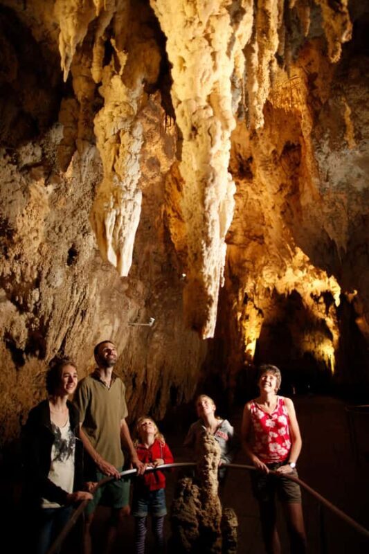 From Auckland: Waitomo Caves and Kiwi House Group Tour - Frequently Asked Questions